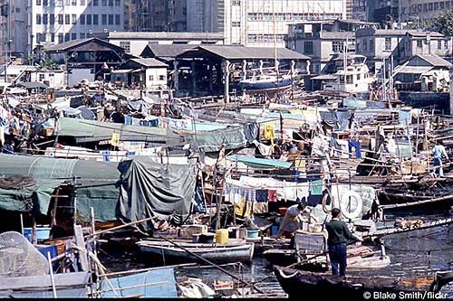 ▍60 年代的香港有許多居住在船上的疍家漁民，吳家人本是這樣的船民，在安德森夫婦調查時已上岸定居