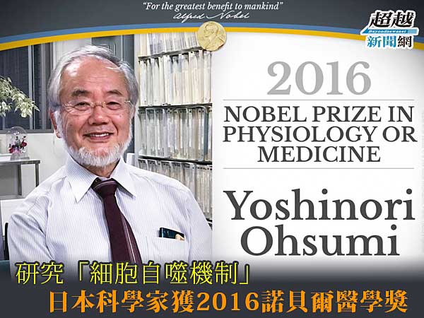 the-2016-nobel-prize-in-medicine
